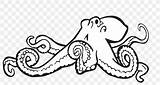 Octopus Ringed Padi sketch template