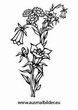 Ausmalbilder Ausmalbild Blume Blüten sketch template