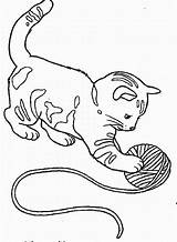 Kitten Coloring Color Pages Popular sketch template