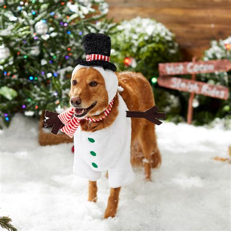 cute christmas costumes  large dogs hey djangles