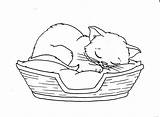 Sleep Colouring Cats sketch template