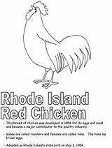 Coloring Symbols Pages Rhode Island Red Chicken State Comments Printables States United Kidzone Rhodeisland Ws Geography Usa sketch template
