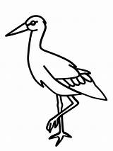 Roda Cegonha Garza Bojanke Colorir Egret Ptica Ptice Dibujo Página Nazad Clipartmag Stork Cigüeña sketch template