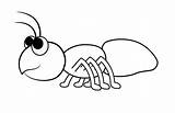 Ant Coloring Cartoon Colouring Pages Ants Clipart Kids Draw Drawing Cute Hormiga Drawings Color Printable Colorear Marching Para Large Animal sketch template