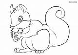 Squirrel Acorn Squirrels sketch template