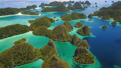 west papua raja ampat scuba diving dive adventures