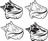 Conch Vectorified sketch template