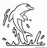 Delfin Colorat Lumba Desene Delfino Saltando Mewarnai Kolase Saltan Dacolorare Animale Salbatice Delfini Golfinho Kolorowanka Planse Delfines Coloreando Terkeren Dolphins sketch template