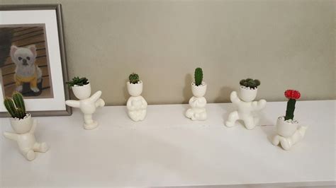 cactus kids