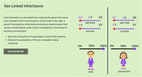Sex Linked Inheritance Interactive For 6th 8th Grade Lesson Planet