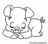 Coloring Pages Pig Cute Printable Print sketch template