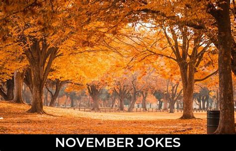 november jokes  funny puns jokojokes