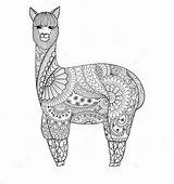 Llama Zentangle Alpaca Lamas Ausdrucken Animal Llamas Mandalas sketch template