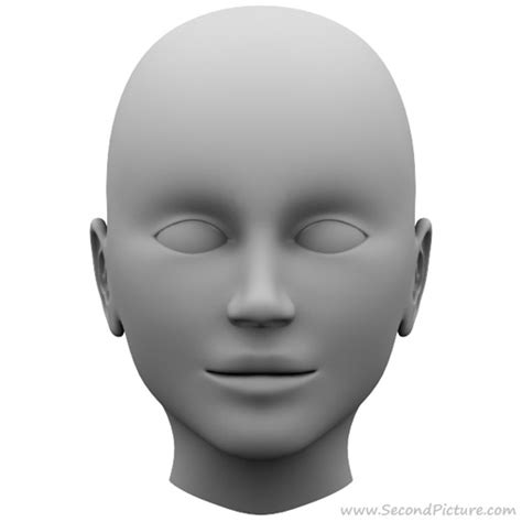 ds max animation  modelling  human head