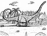 Sauropod Barosaurus Diplodocus Diplodocid Sauropods sketch template