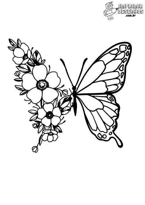 vlinder op bloem flores  colorir borboletas  colorir livros