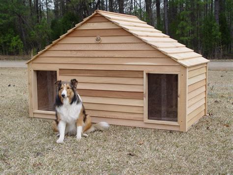 large dog houses   dogs ide home decor