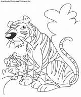 Tiger Cub sketch template