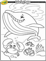 Coloring Pages Whale Crayola Summer Kids Printable Color Christmas Sea Sheets Under Template Print 색칠 도안 Book Alive Getcolorings Shark sketch template