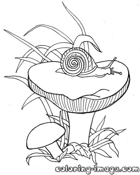 images  mushrooms coloring pages google search butterfly art