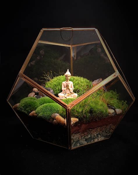 large geometric buddha terrarium moss terrarium indoor plants