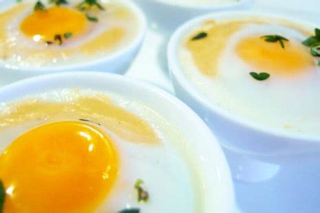 egg yolk hazardous  harmful vitamin resource