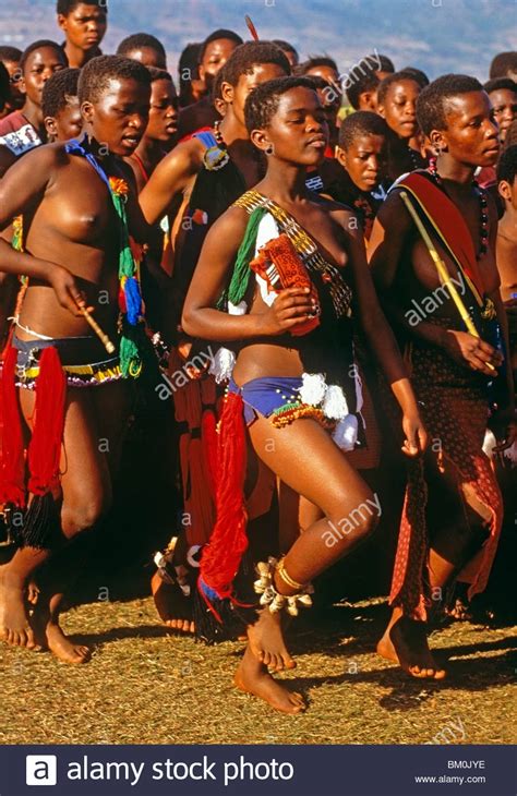 swazi reed dance festival stockfoto bild 29518370 alamy