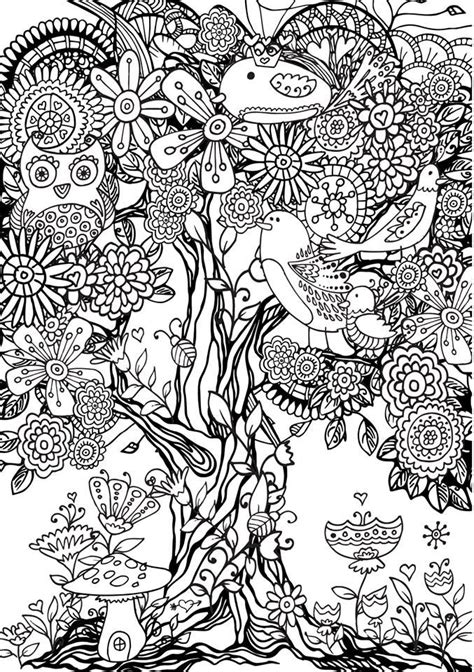 printable tree coloring pages  adults pics drawer