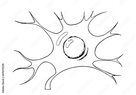 black  white sketch   neuron  doodle style coloring page hand