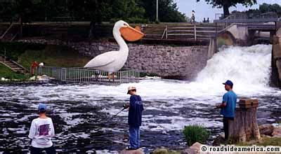 pelican pete worlds largest pelican pelican rapids minnesota