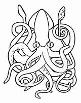 Squid Kraken Colossal Kunjungi Squidoo sketch template