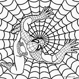Coloring Spiderman Pages Spectacular Visit sketch template