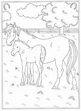 Kleurplaat Paard Veulen Paarden Kleurplaten Reitschule Manege Printen Malvorlagen1001 Malvorlage Stal Kleurplatenl sketch template