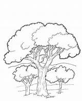 Kleurplaat Bomen Trees Kleurplaten Blaadjes Winter Coloringhome sketch template