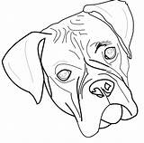 Boxer Drawing Line Dog Head Puppy Drawings Clipart Easy Pencil Book Getdrawings Paintingvalley sketch template