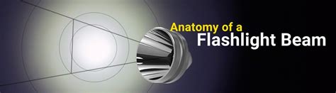 anatomy   flashlight beam