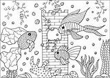 Aquarium Pesci Poissons Ryby Colorear Peces Fische Fishes Akwariowe Kolorowanka Adulti Trois Druku Malbuch Erwachsene Fur Coloriages Justcolor Rybki Jolis sketch template