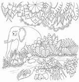 Coloring Jungle Dschungeltiere Korat Malvorlagen sketch template