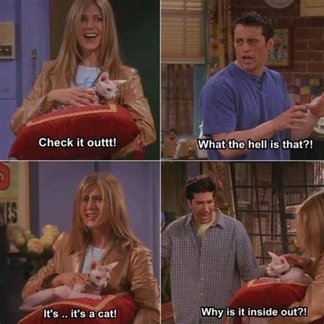 31 “friends” Jokes That Never Get Old