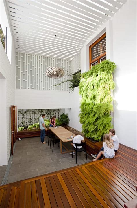 decorate  interior  green indoor plants  save money