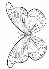 Mariposas Colouring Wings Disegni Ricamo Colorare Mariposa Motyle Kolorowanki Chomikuj Tsgos Grown Ups Arazzi Timbri Macchina Trasferimento Outline Getdrawings Morpho sketch template
