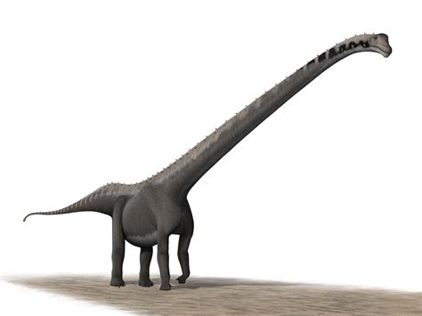 research  sauropod gigantism summarized heritagedaily