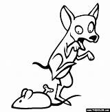 Chihuahua Coloring Pages Dog Dogs Gif Getdrawings Drawing Thecolor sketch template
