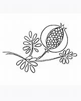 Pomegranate Coloring Seeds Pages Red Drawing Template Choose Board sketch template
