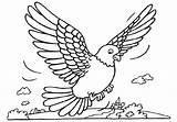 Burung Pigeon Coloring Mewarnai Duiven Merpati Kleurplaten Pigeons Dara Animasi Tauben Colorare Duif Malvorlagen Coloriages Kleurplaat Animaatjes Terbang Piccioni Paud sketch template