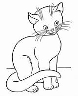 Pages Color Cat Coloring Cats Printable Kids sketch template