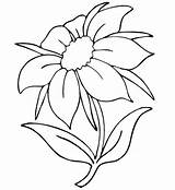Coloring Pages Flowers Rainforest Getcolorings Flower sketch template
