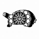 Turtle Zip sketch template