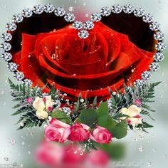 imikimi beauty  love  ideas love  love hearts  roses