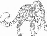 Cheetah King Drawing Coloring Baby Popular Getdrawings Paintingvalley Coloringhome sketch template